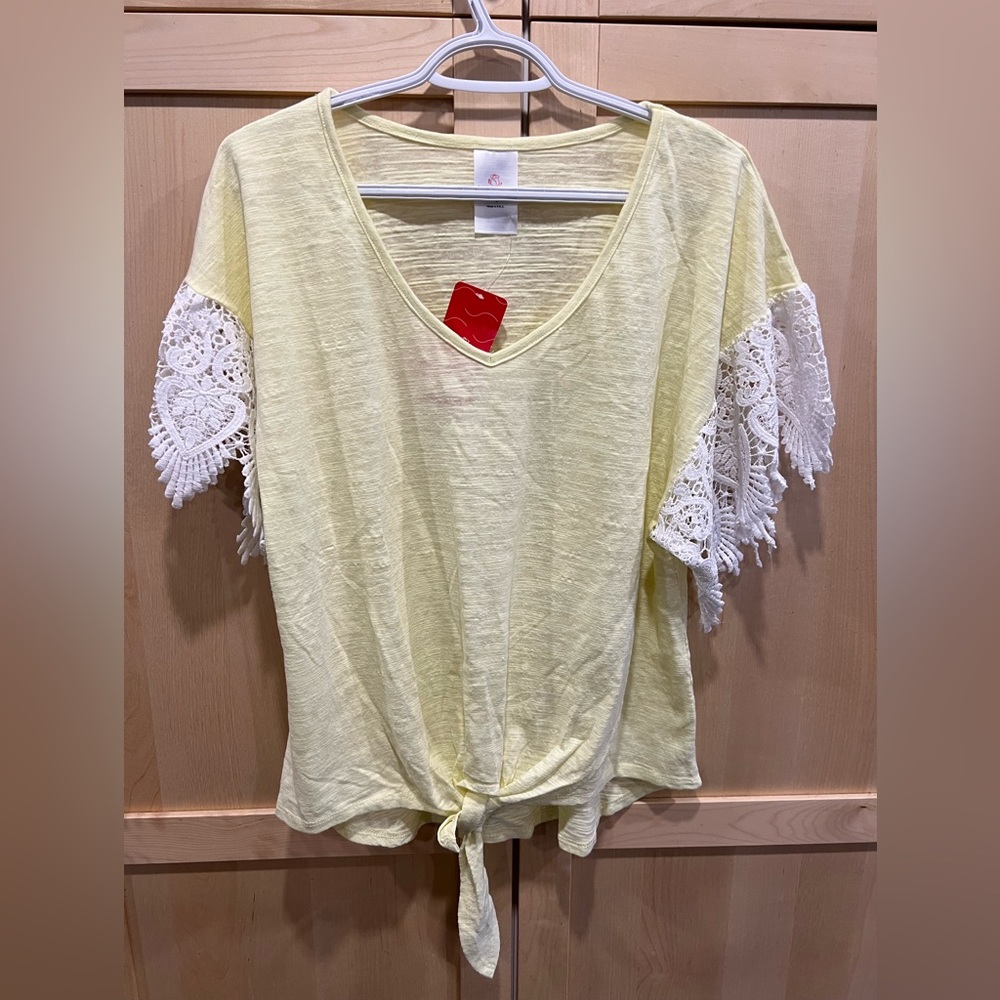 Light laced sleeved top